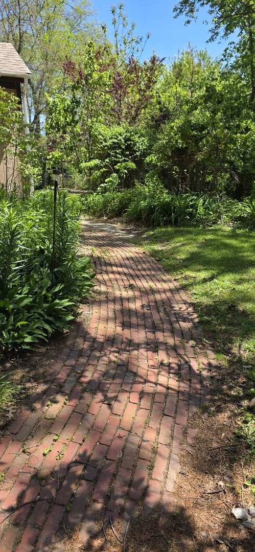 2857 River Road Kankakee, IL 60901 - Photo 27 of 35 a view of a yard with plants and large trees