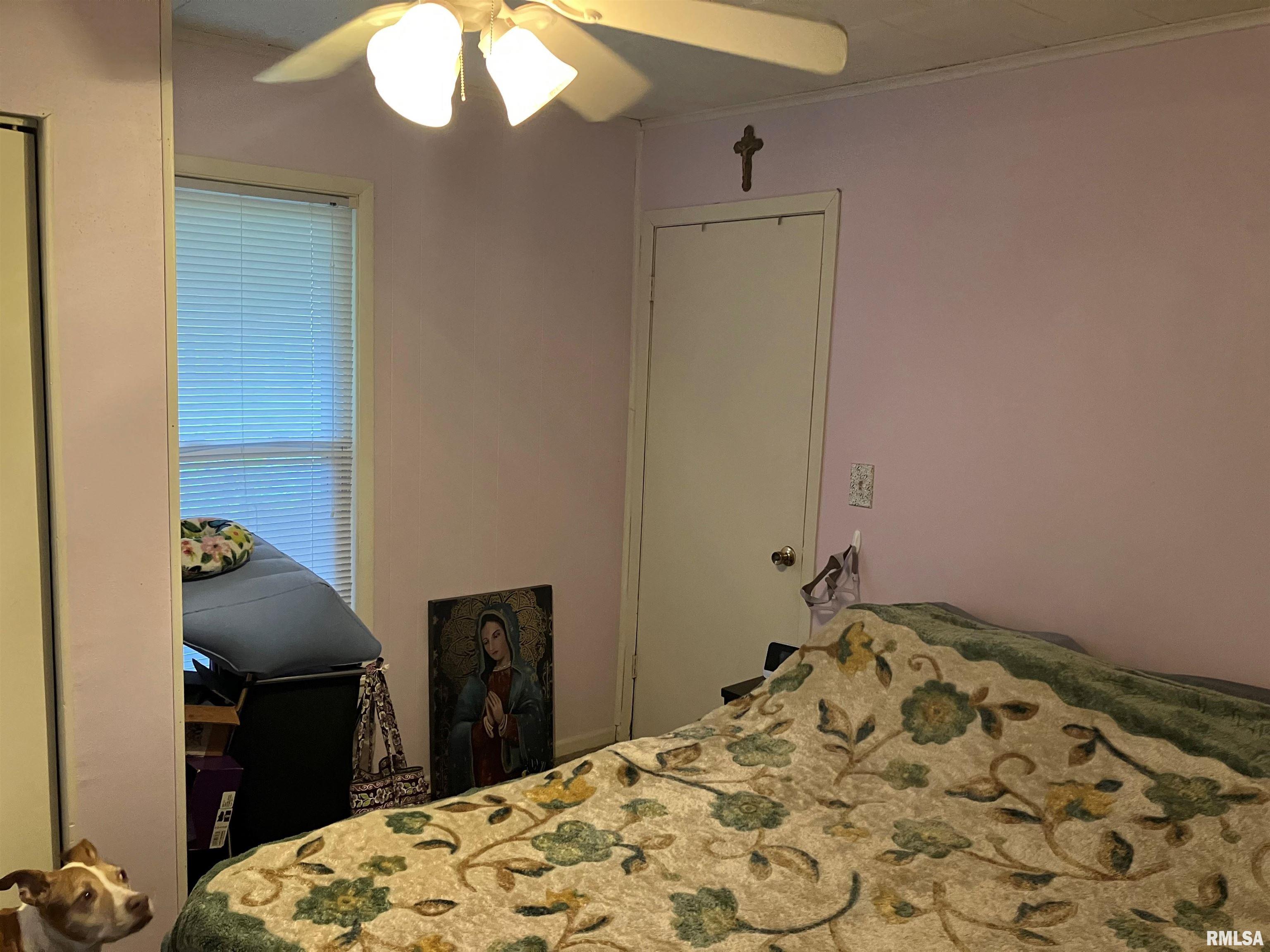 2336 Holmes Avenue Springfield, IL 62704 - Photo 4 of 12