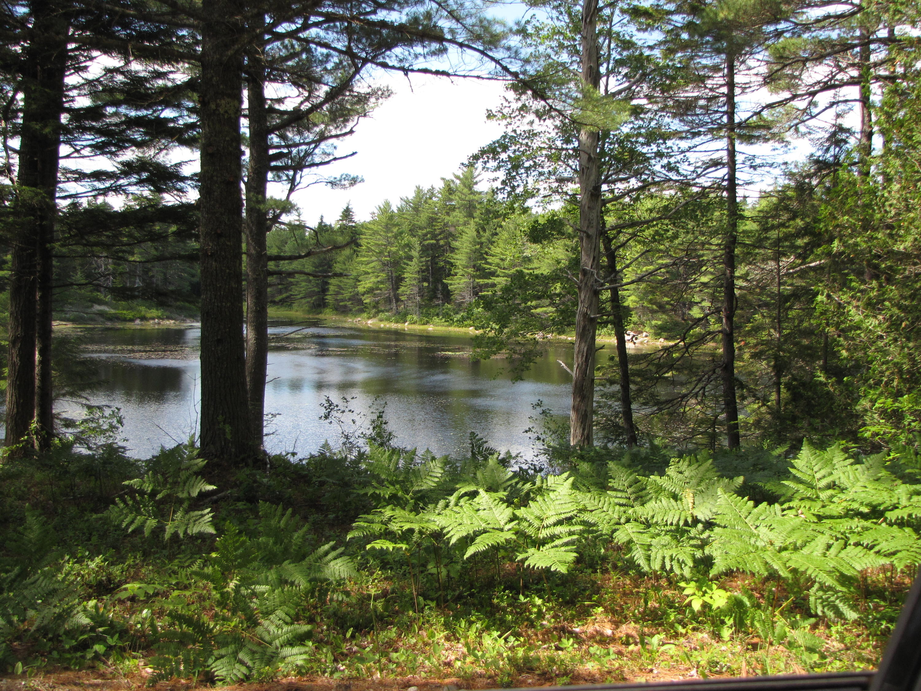 33 Marks Lake Road Machias, ME 04654 - Photo 4 of 37 3