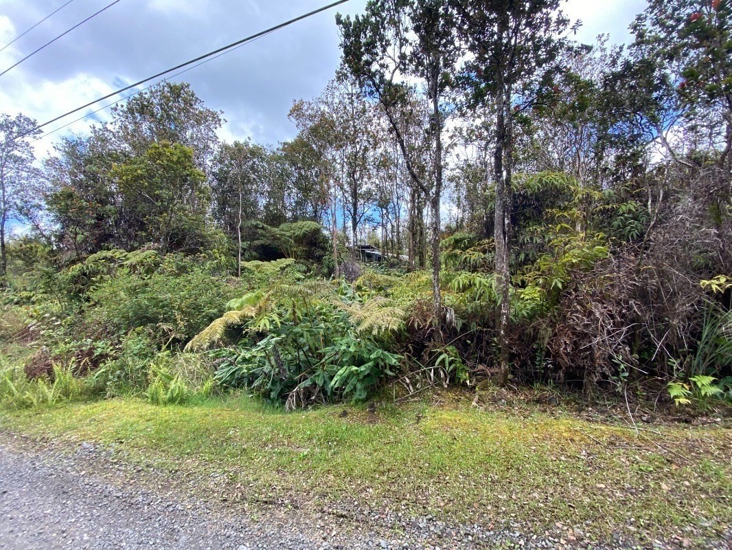 11-2687 Ohialani Road Mountain View, HI 96771 - Photo 11 of 12 Gallery Image 11