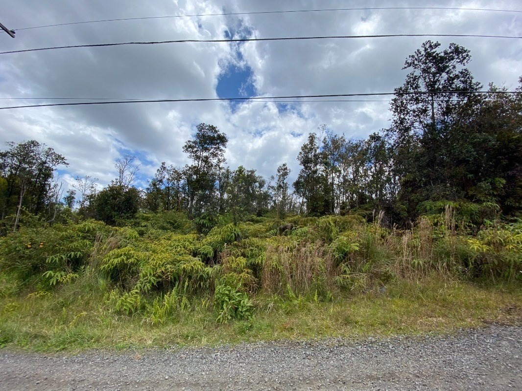 11-2687 Ohialani Road Mountain View, HI 96771 - Photo 3 of 12 Gallery Image 3