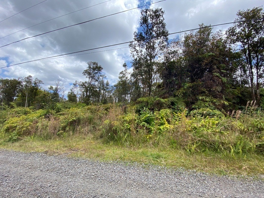 11-2687 Ohialani Road Mountain View, HI 96771 - Photo 5 of 12 Gallery Image 5