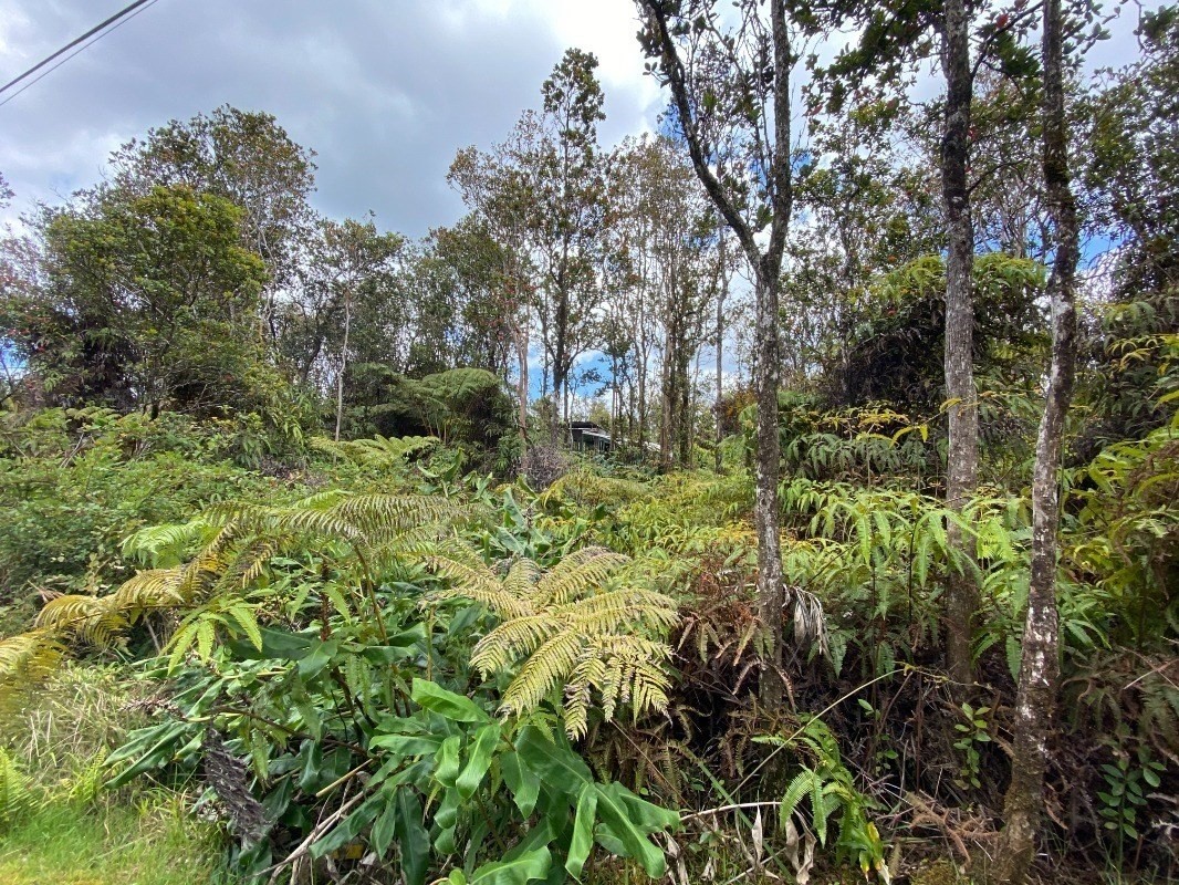 11-2687 Ohialani Road Mountain View, HI 96771 - Photo 8 of 12 Gallery Image 8