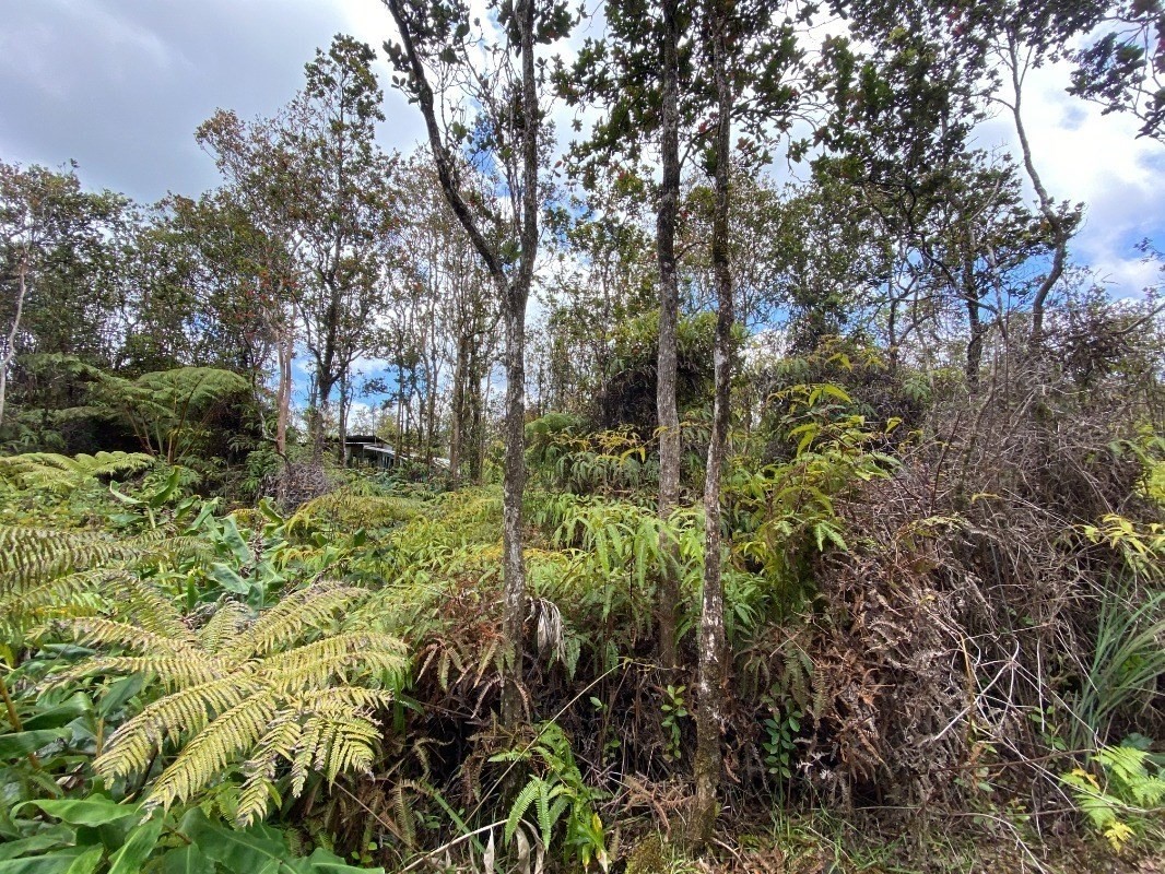 11-2687 Ohialani Road Mountain View, HI 96771 - Photo 9 of 12 Gallery Image 9