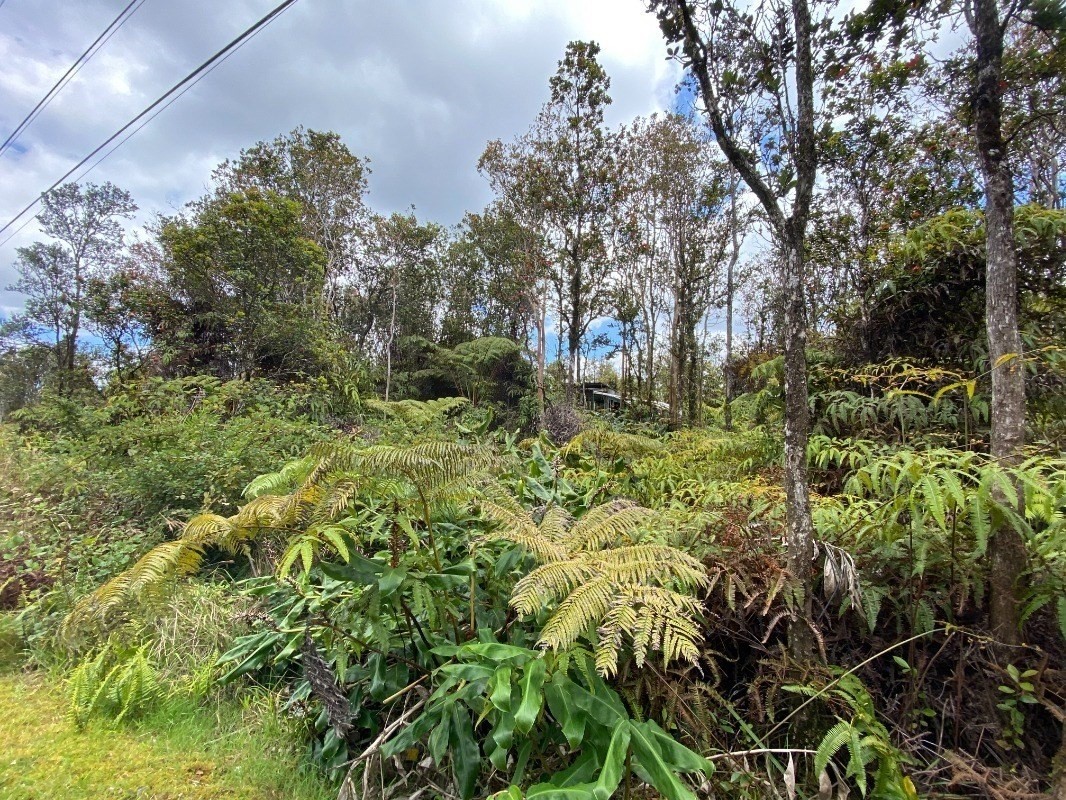11-2687 Ohialani Road Mountain View, HI 96771 - Photo 10 of 12 Gallery Image 10