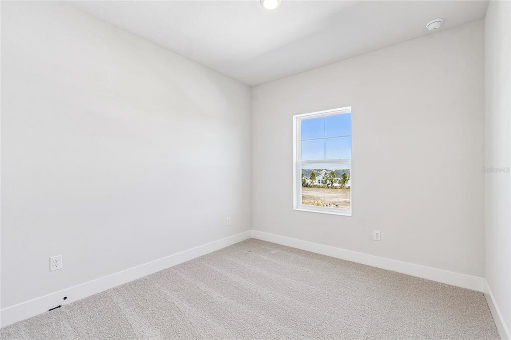 28796 Jujube Road Wesley Chapel, FL 33543 - Photo 35 of 53 Gallery Image 35