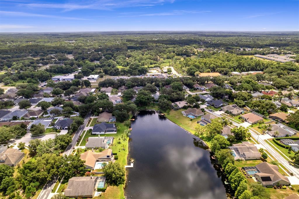 8412 Ridgebrook Circle Odessa, FL 33556 - Photo 69 of 87