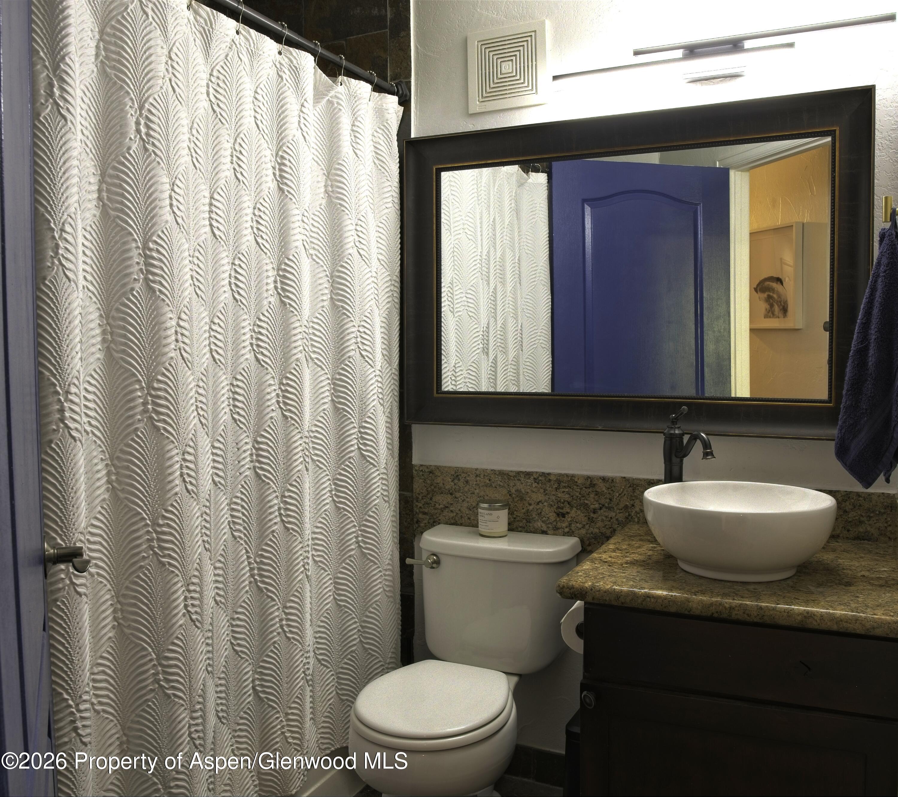 7204 Elk Lane Basalt, CO 81621 - Photo 11 of 15 Guest Bathroom
