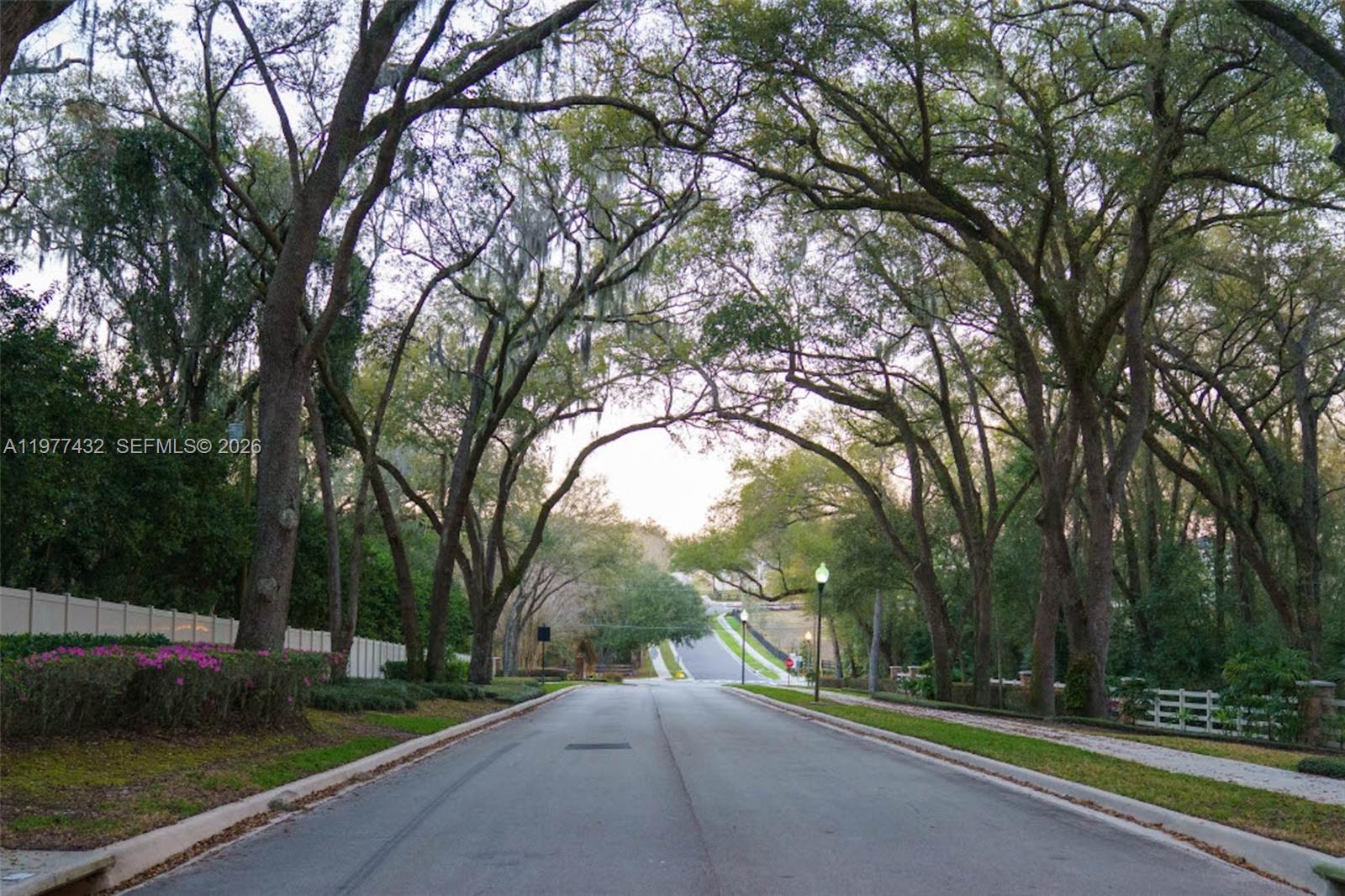 2502 Woodside Ridge Drive Apopka, FL 32712 - Photo 36 of 37 a view of a street