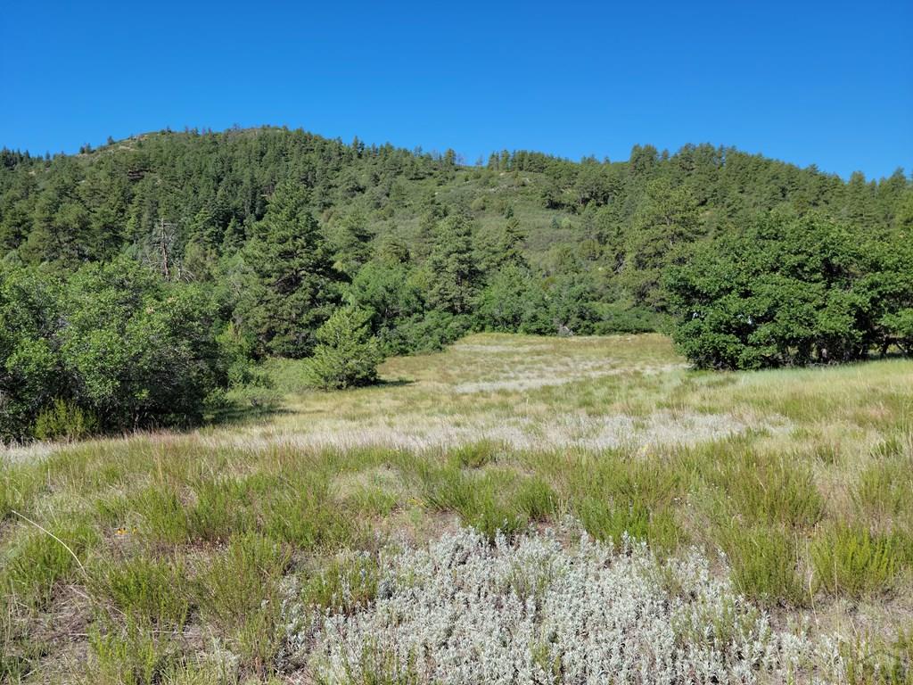 Tbd Haynes Road South Beulah, CO 81023 - Photo 15 of 17