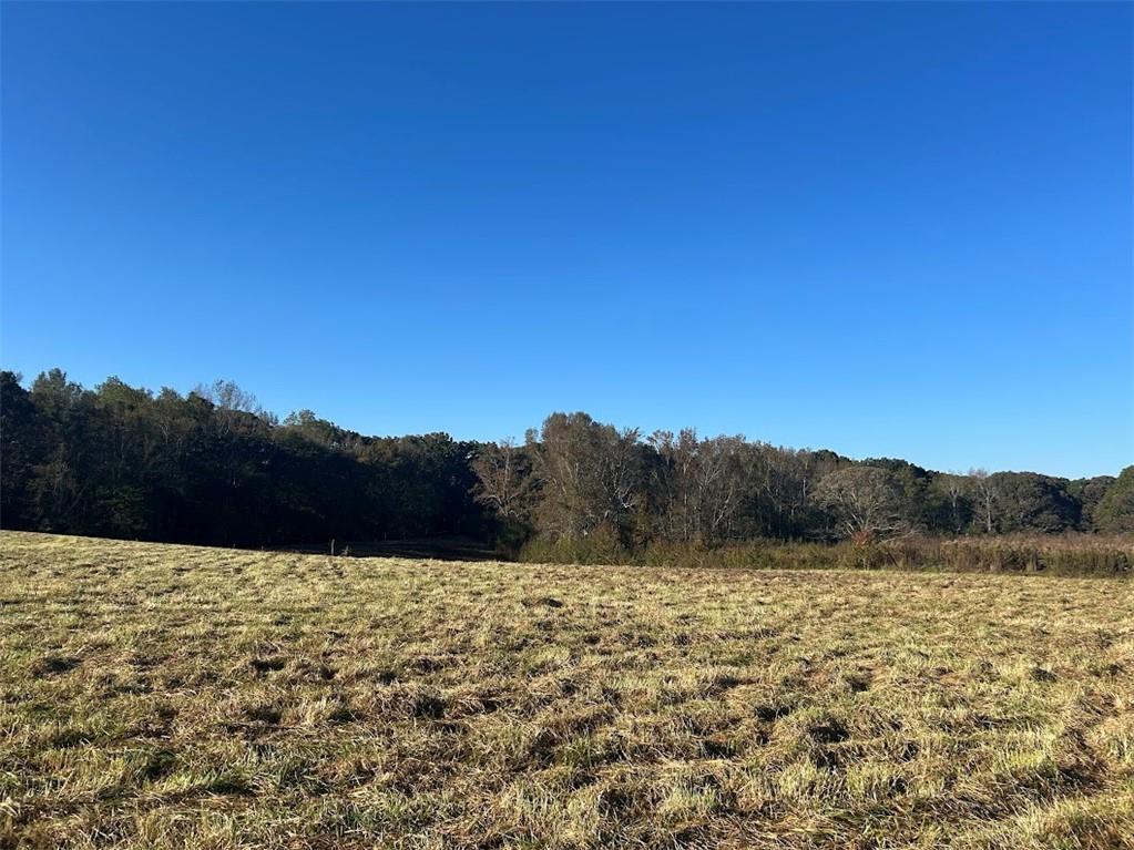 0 Old Columbus Road Bowdon, GA 30108 - Photo 3 of 26