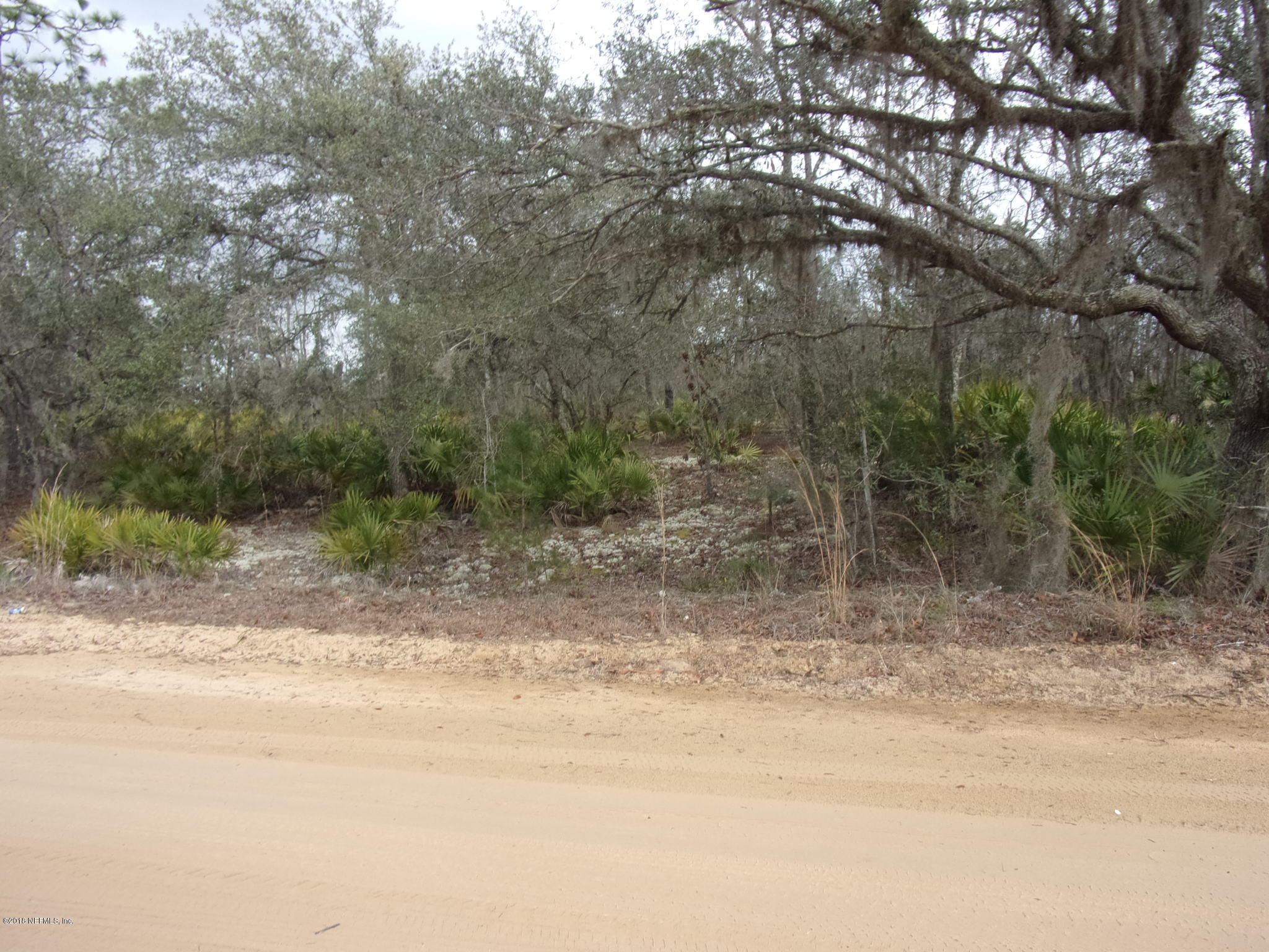 0 Songbird Road Palatka, FL 32177 - Photo 4 of 6 007