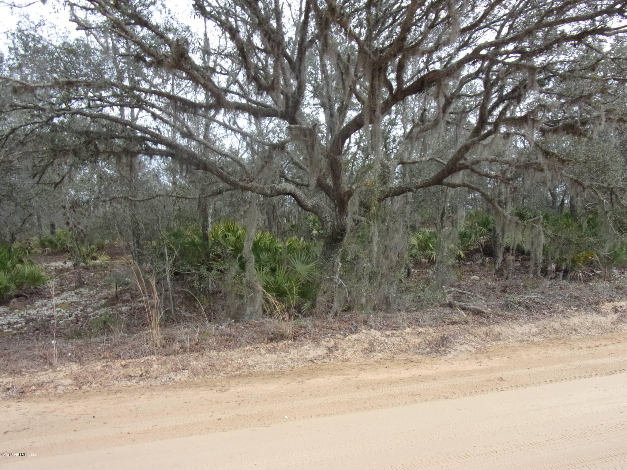 0 Songbird Road Palatka, FL 32177 - Photo 5 of 6 006