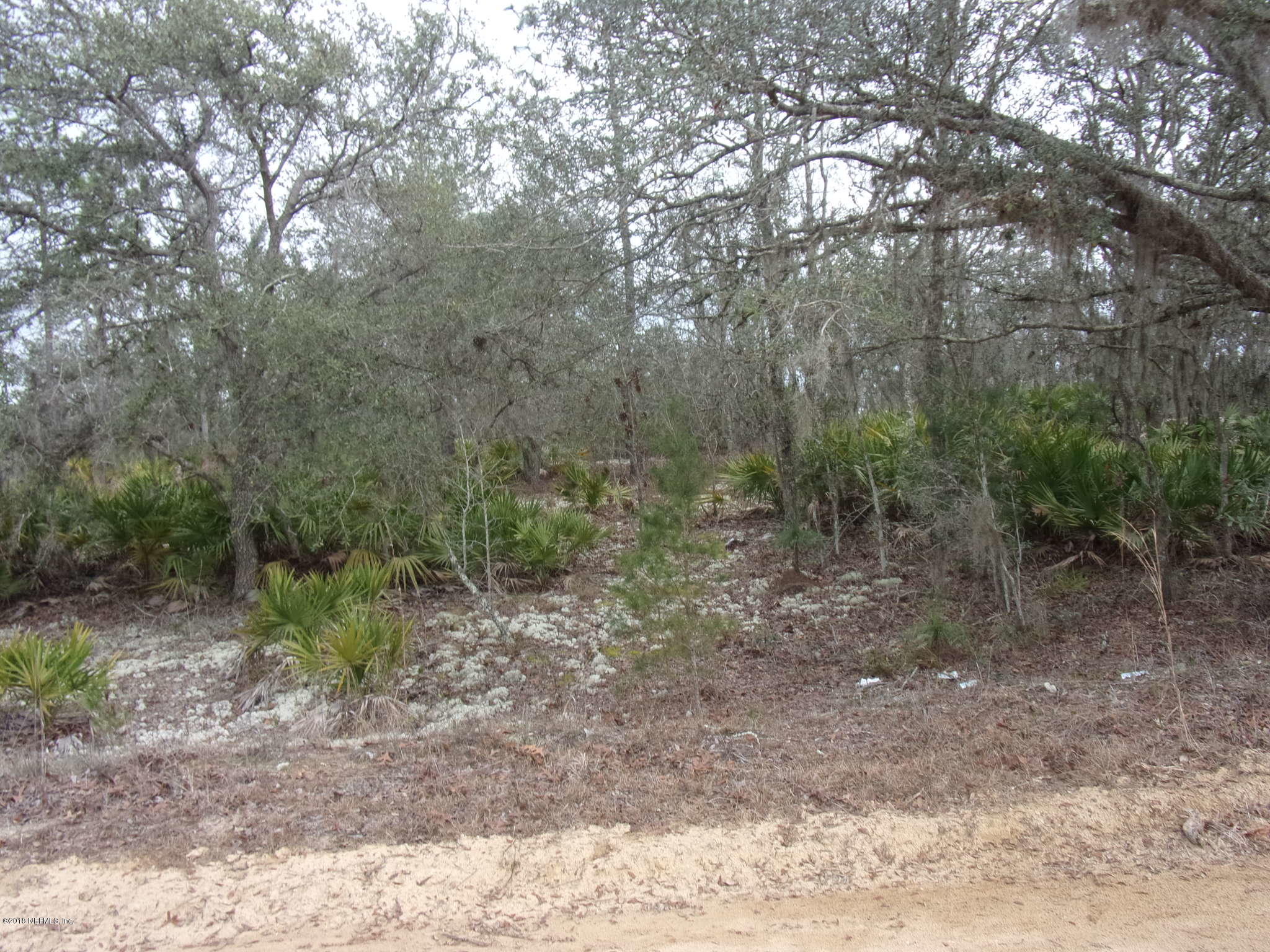 0 Songbird Road Palatka, FL 32177 - Photo 6 of 6 003
