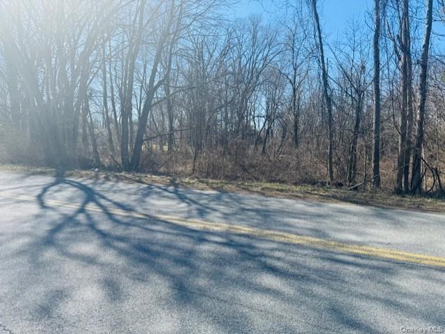 0 Cramer Road Poughkeepsie, NY 12603 - Photo 1 of 5 a view of outdoor space and yard