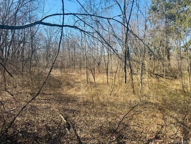 0 Cramer Road Poughkeepsie, NY 12603 - Photo 5 of 5 a view of yard with large tree