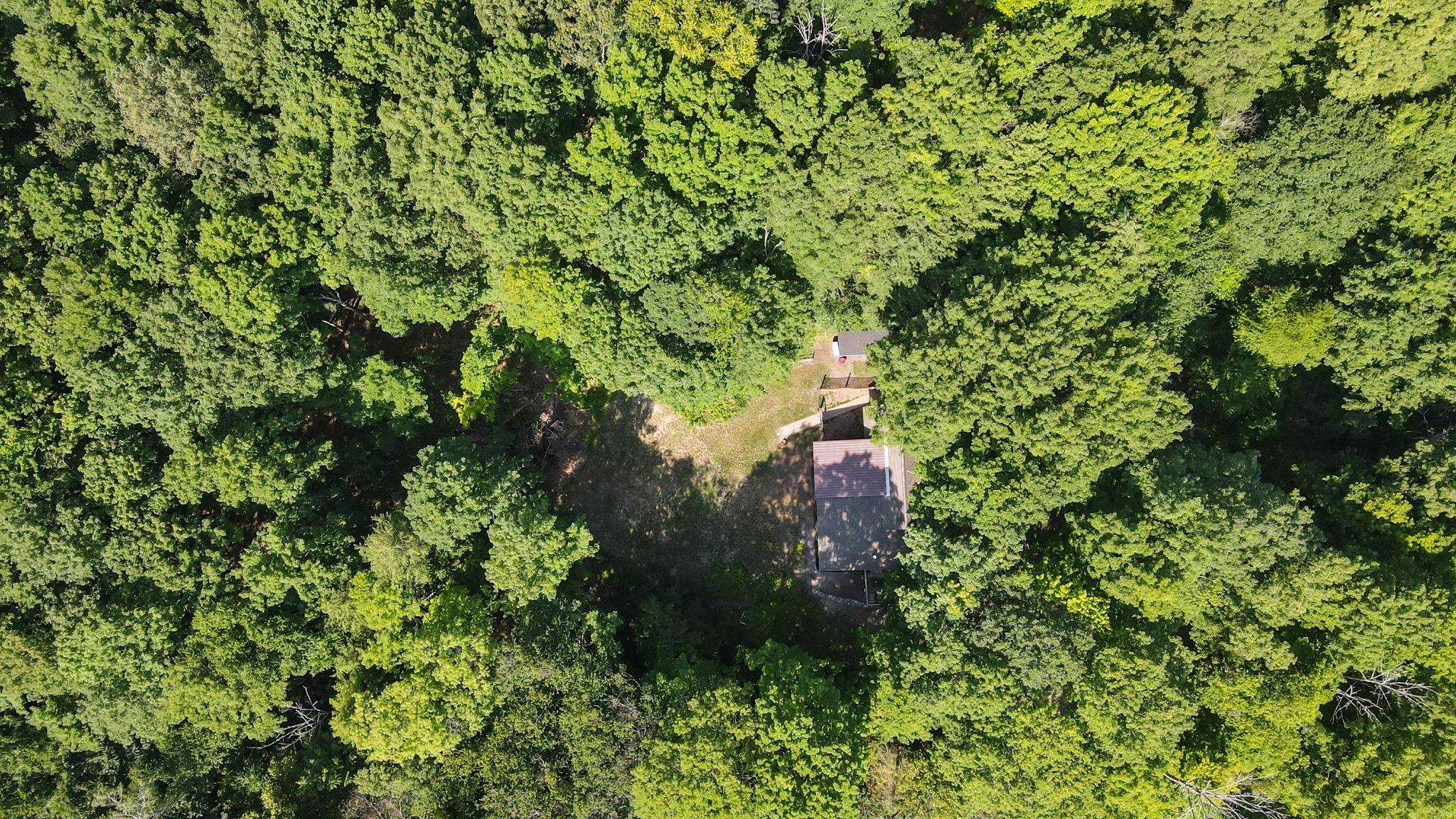 8242 South Sullivan Road Cedar, MI 49621 - Photo 81 of 96
