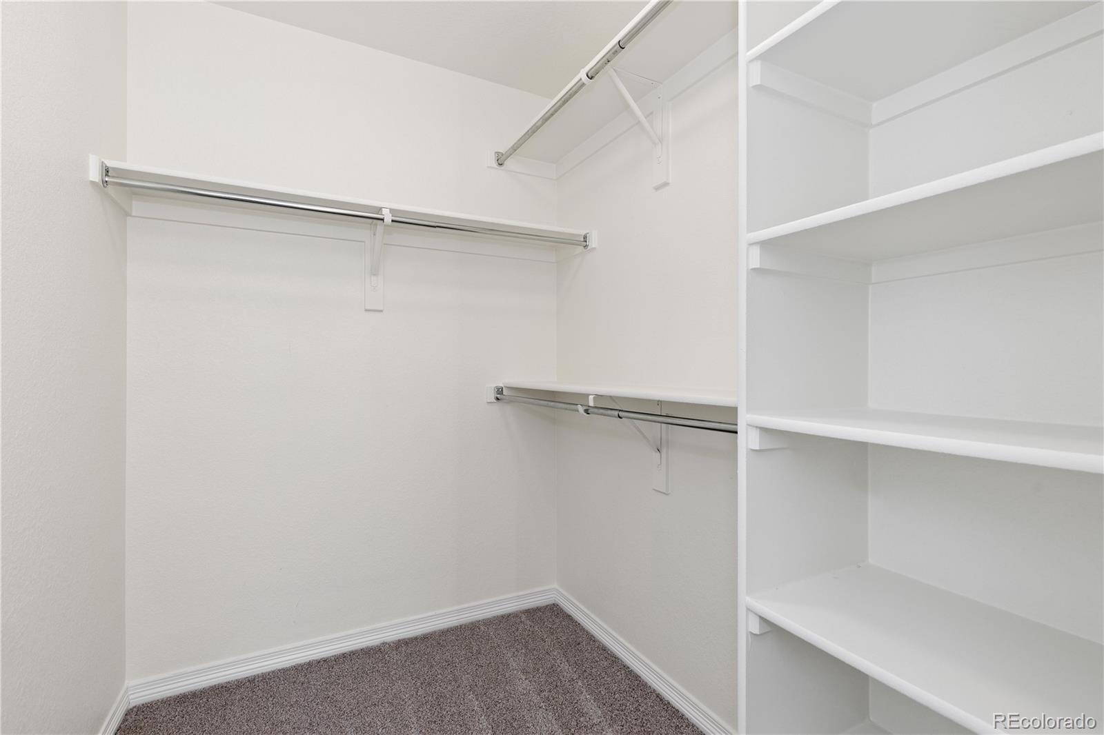 205 Green Valley Circle Castle Pines, CO 80108 - Photo 32 of 42