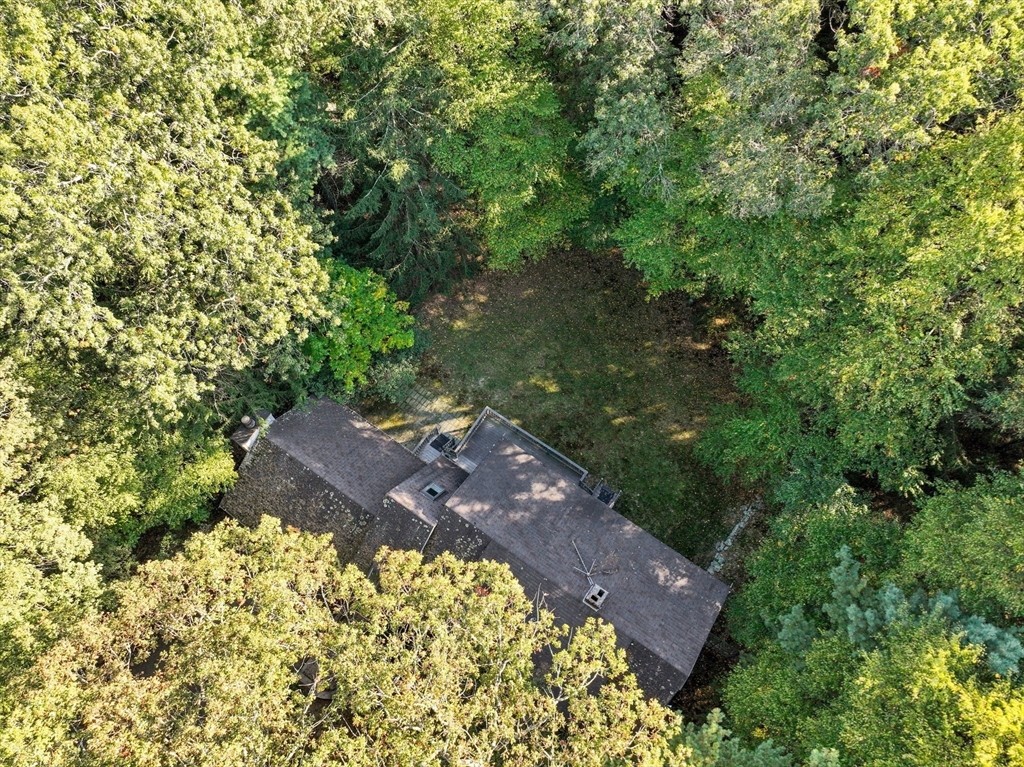 41 Orchard Avenue Weston, MA 02493 - Photo 11 of 13 a view of an outdoor space