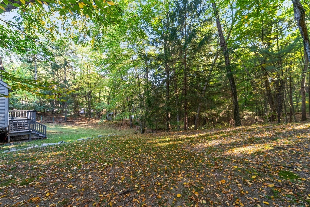 41 Orchard Avenue Weston, MA 02493 - Photo 12 of 13 a view of a park with a bench