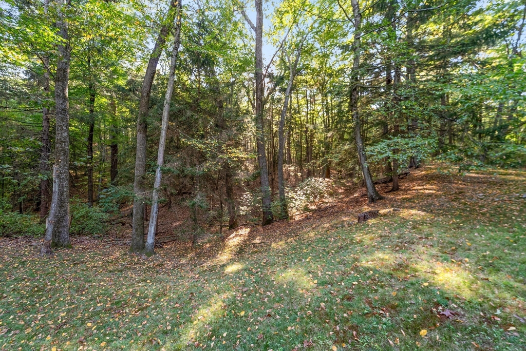 41 Orchard Avenue Weston, MA 02493 - Photo 13 of 13 a view of a forest with trees in the background