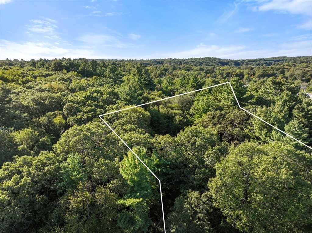 41 Orchard Avenue Weston, MA 02493 - Photo 2 of 13 a view of a city