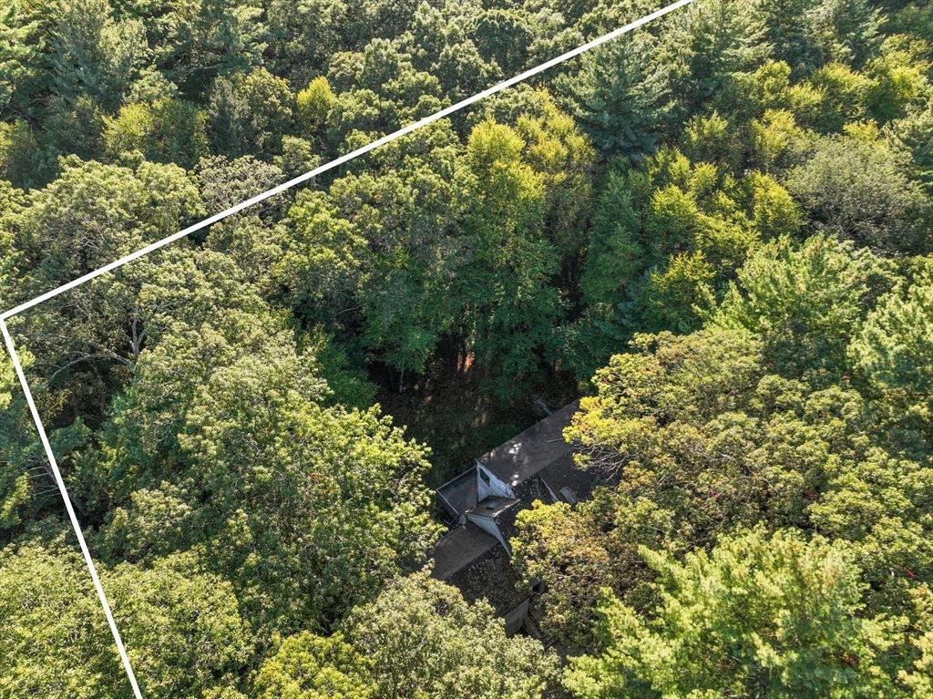 41 Orchard Avenue Weston, MA 02493 - Photo 3 of 13 a view of a yard