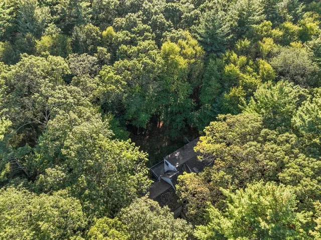 a view of a forest with a street