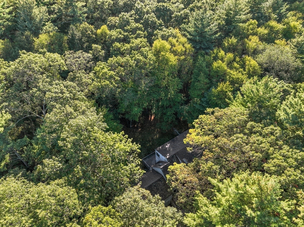 41 Orchard Avenue Weston, MA 02493 - Photo 5 of 13