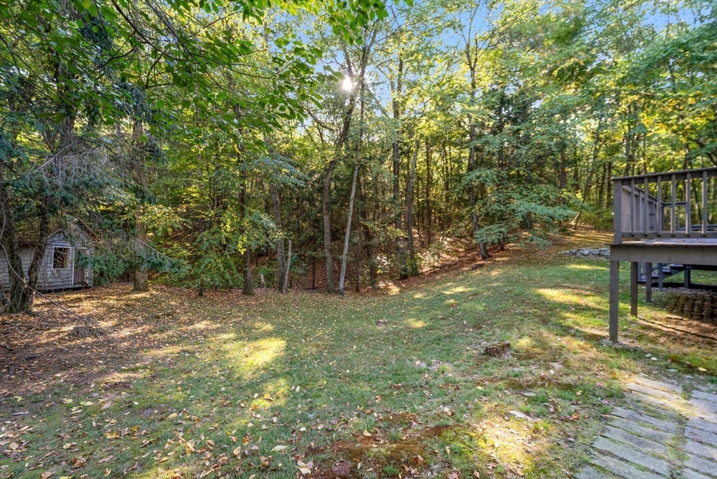 41 Orchard Avenue Weston, MA 02493 - Photo 8 of 13 a view of a yard with a tree
