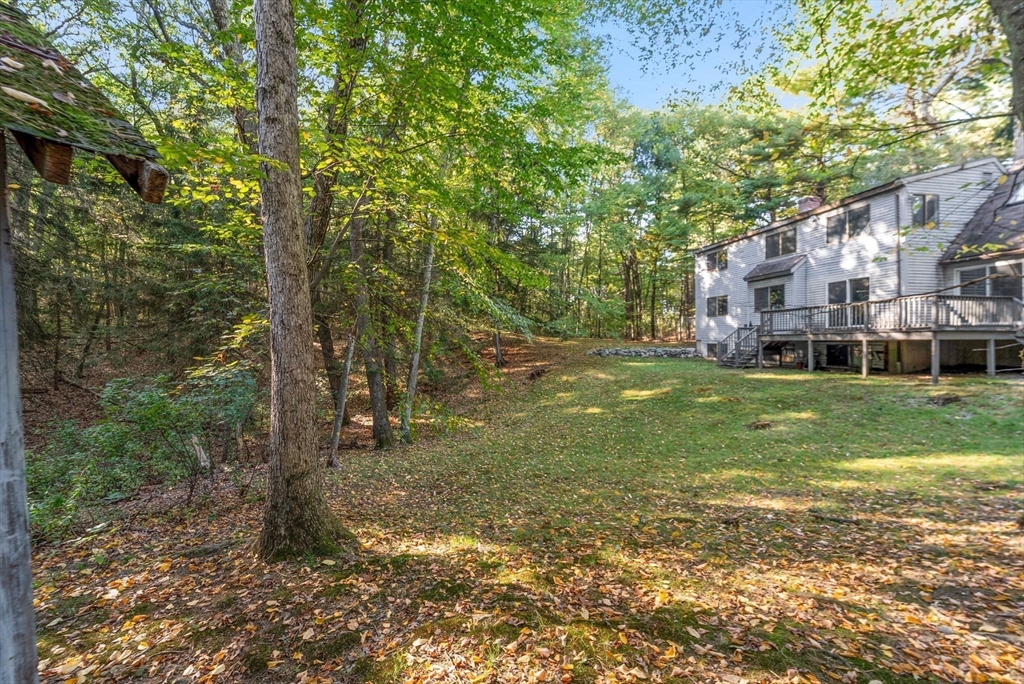 41 Orchard Avenue Weston, MA 02493 - Photo 10 of 13 a view of a yard in front of a house with a large tree