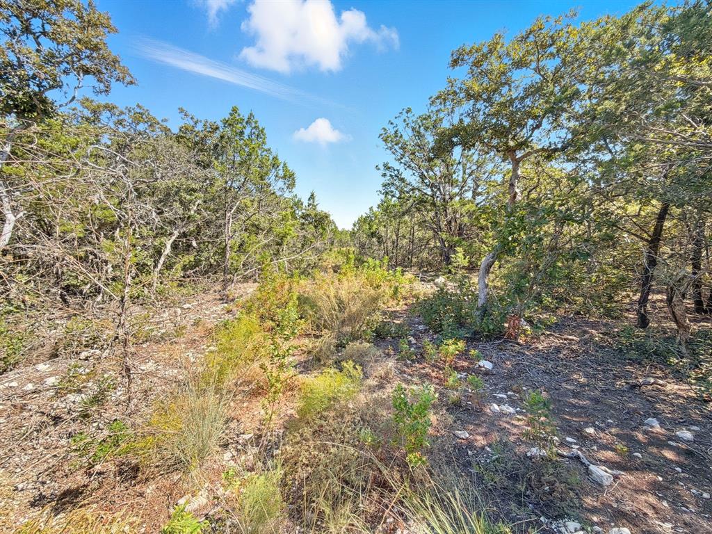 2414 - Tract 2 Evant, TX 76525 - Photo 12 of 29 a view of a yard with a tree