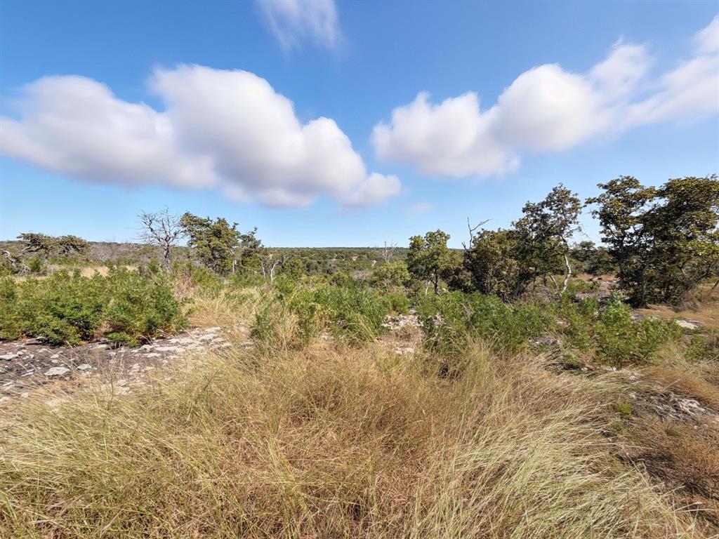 2414 - Tract 2 Evant, TX 76525 - Photo 4 of 29 a view of a bunch of trees in background