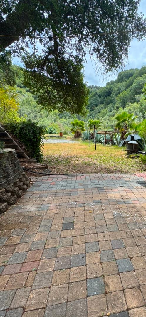 0 O Uvas Road Morgan Hill, CA 95037 - Photo 16 of 28 a view of a yard with plants and large trees