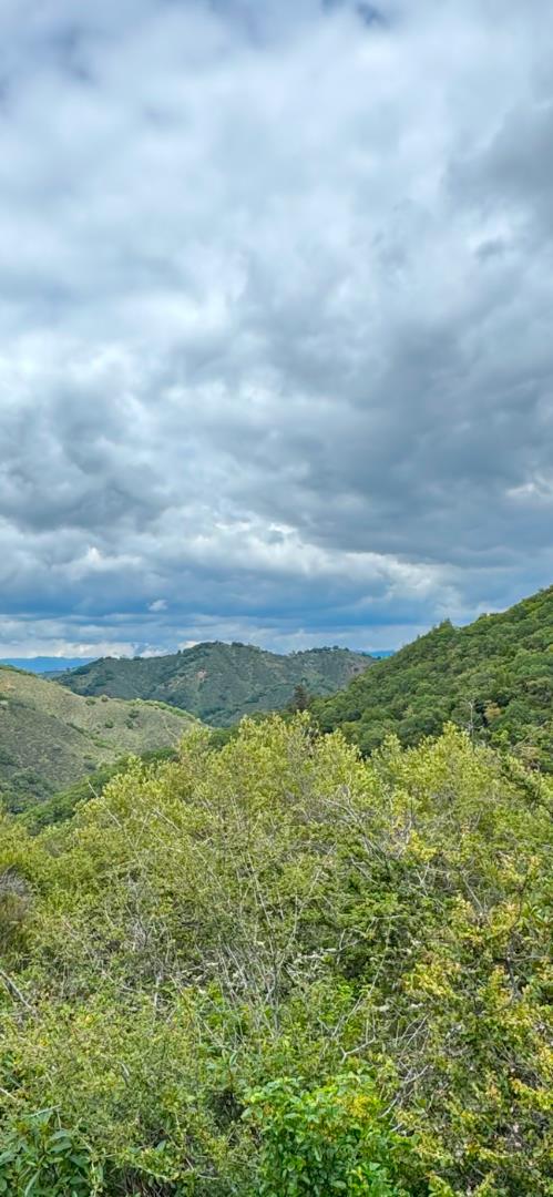 0 O Uvas Road Morgan Hill, CA 95037 - Photo 19 of 28 a view of a field with an ocean