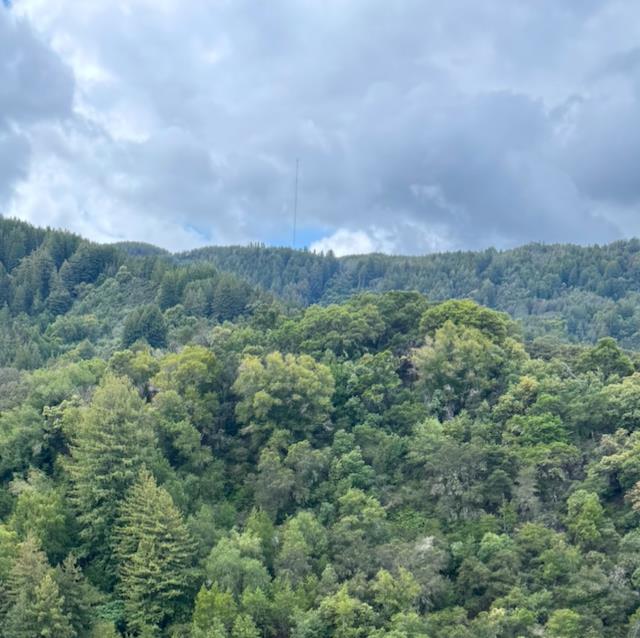 0 O Uvas Road Morgan Hill, CA 95037 - Photo 3 of 28 an aerial view of houses covered in trees