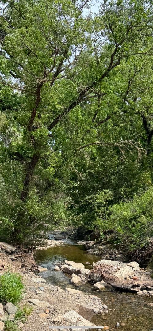 0 O Uvas Road Morgan Hill, CA 95037 - Photo 4 of 28 a view of a tree with a yard