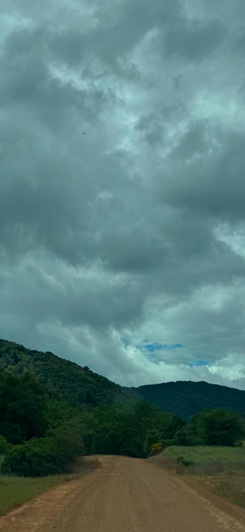 0 O Uvas Road Morgan Hill, CA 95037 - Photo 6 of 28 a view of a yard with an ocean