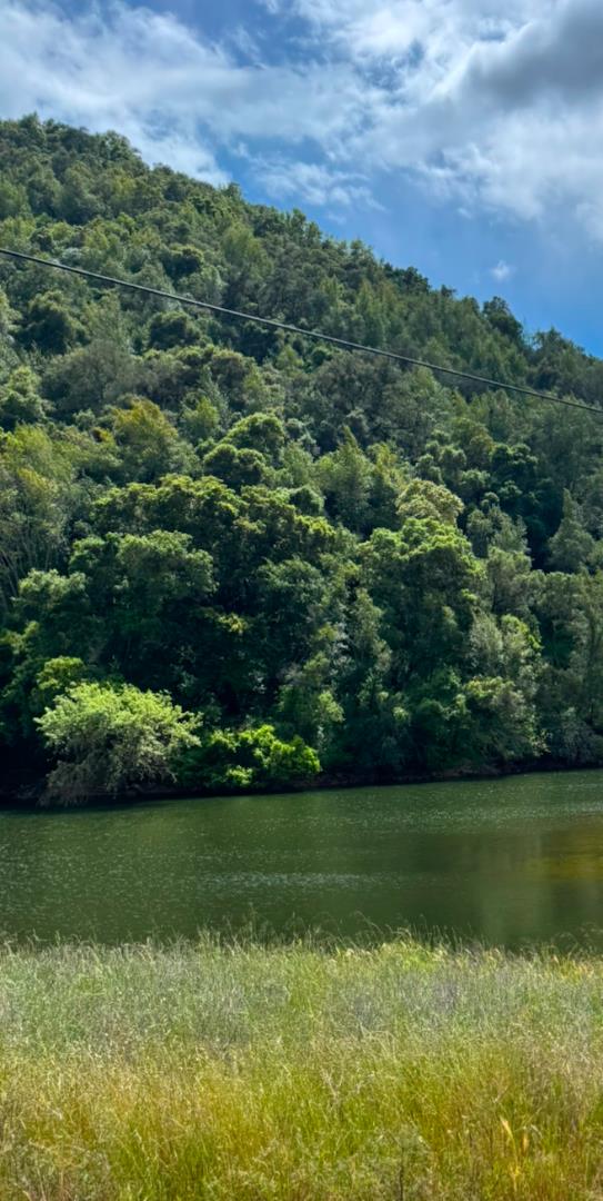 0 O Uvas Road Morgan Hill, CA 95037 - Photo 8 of 28 a view of a garden with a lake