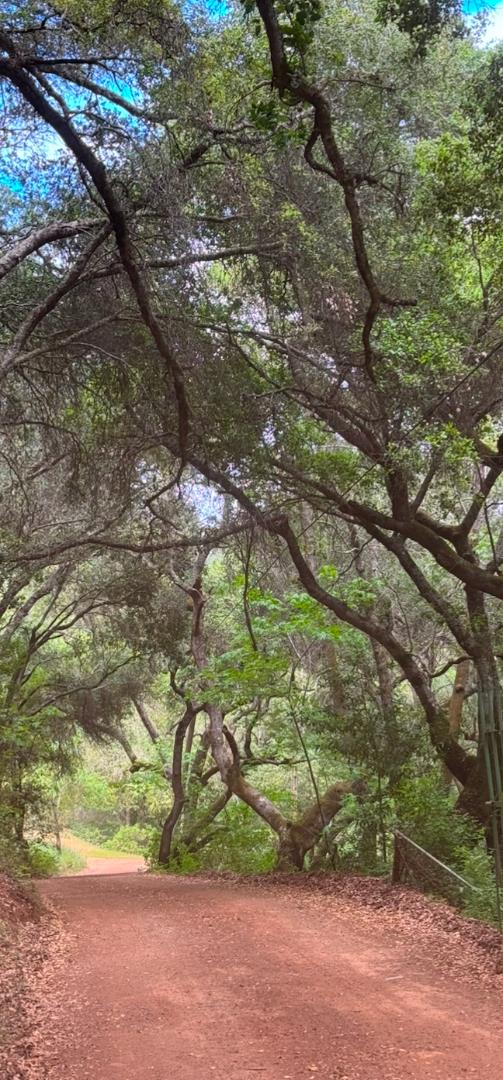 0 O Uvas Road Morgan Hill, CA 95037 - Photo 10 of 28 a view of a yard