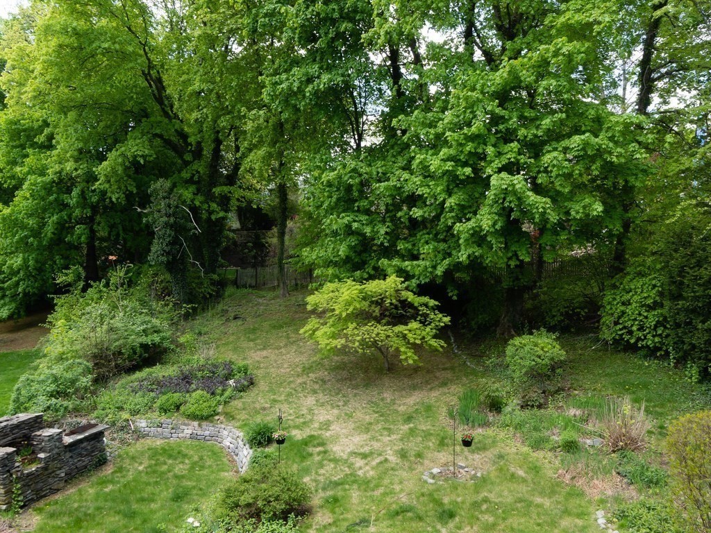 8 Wolcott Road Brookline, MA 02467 - Photo 9 of 37