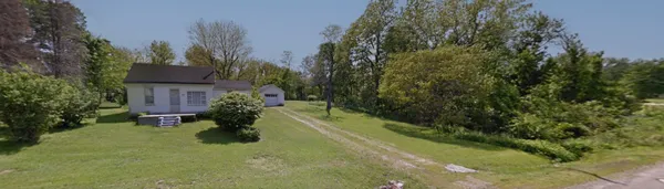 a plant is in front of a house