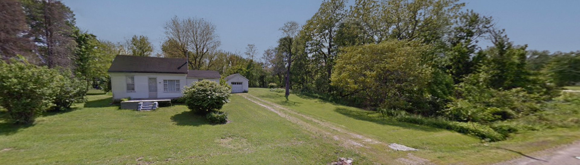 a plant is in front of a house