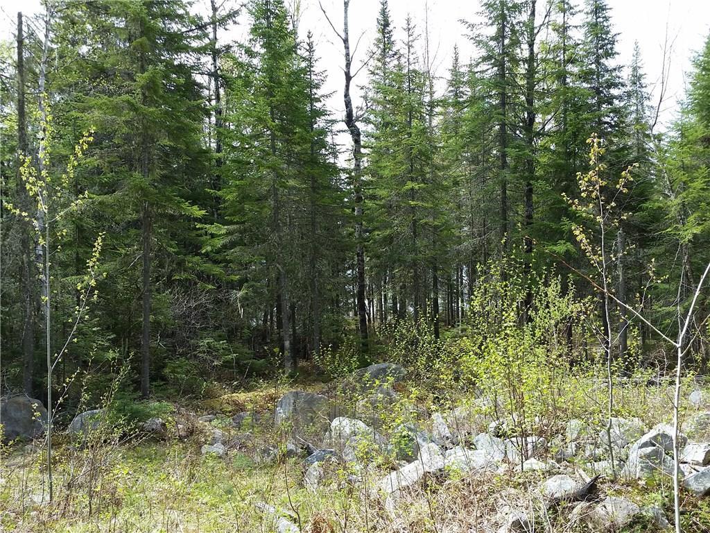 Lot 3 Bemis Road Oquossoc, ME 04964 - Photo 10 of 16 Photo