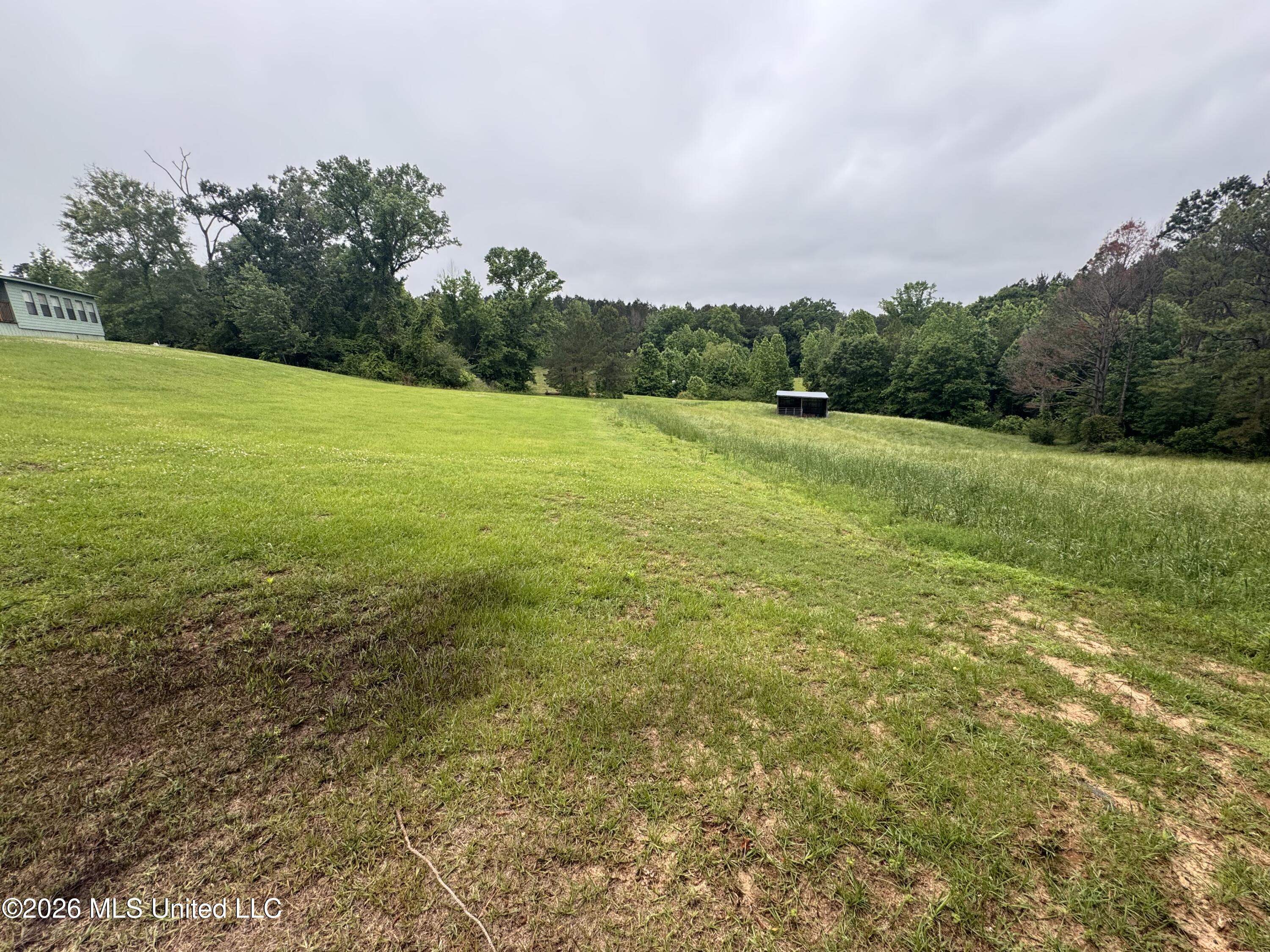 956 Franklin Road Morton, MS 39117 - Photo 22 of 48 IMG_3961