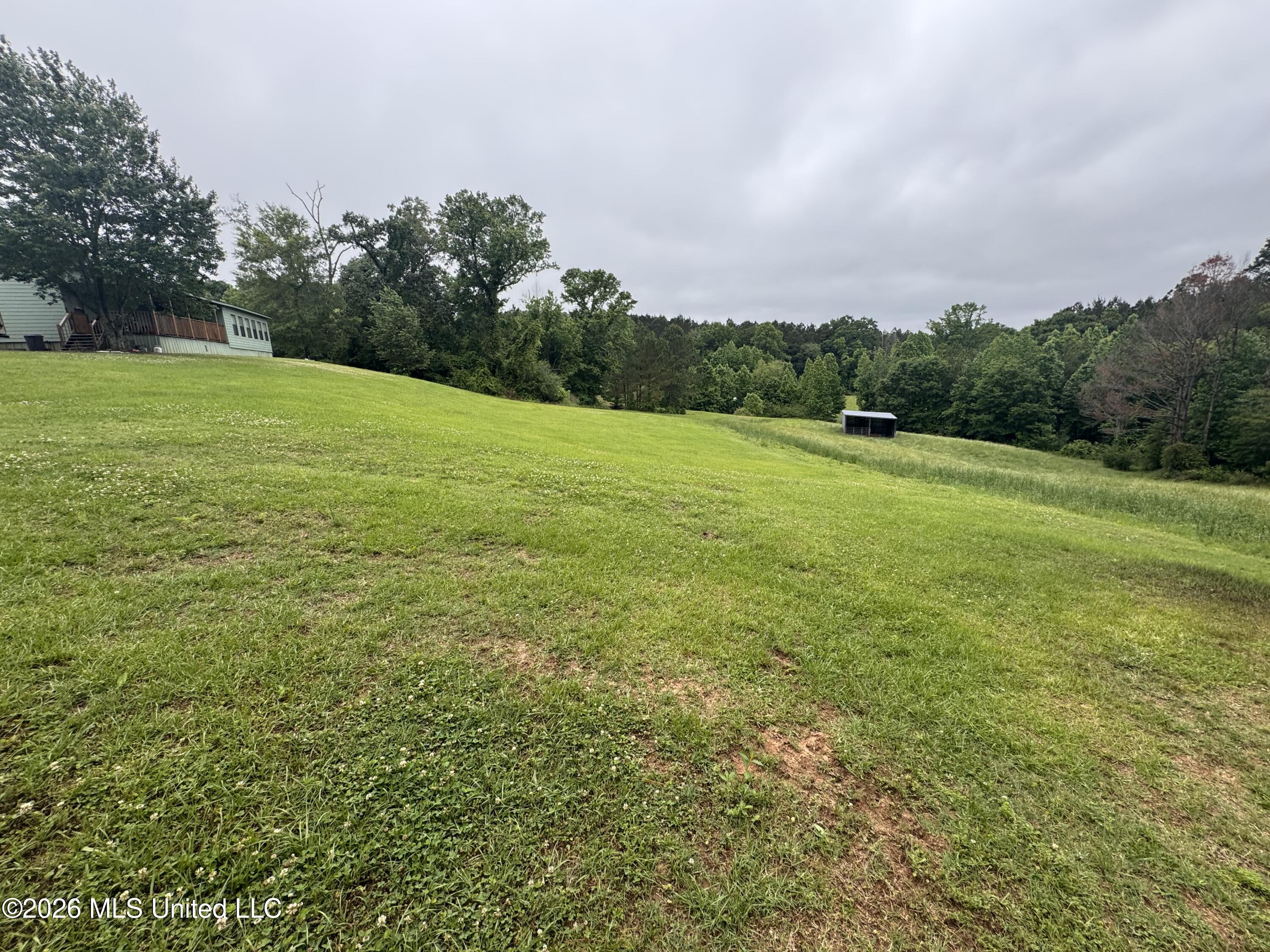 956 Franklin Road Morton, MS 39117 - Photo 23 of 48 IMG_3960