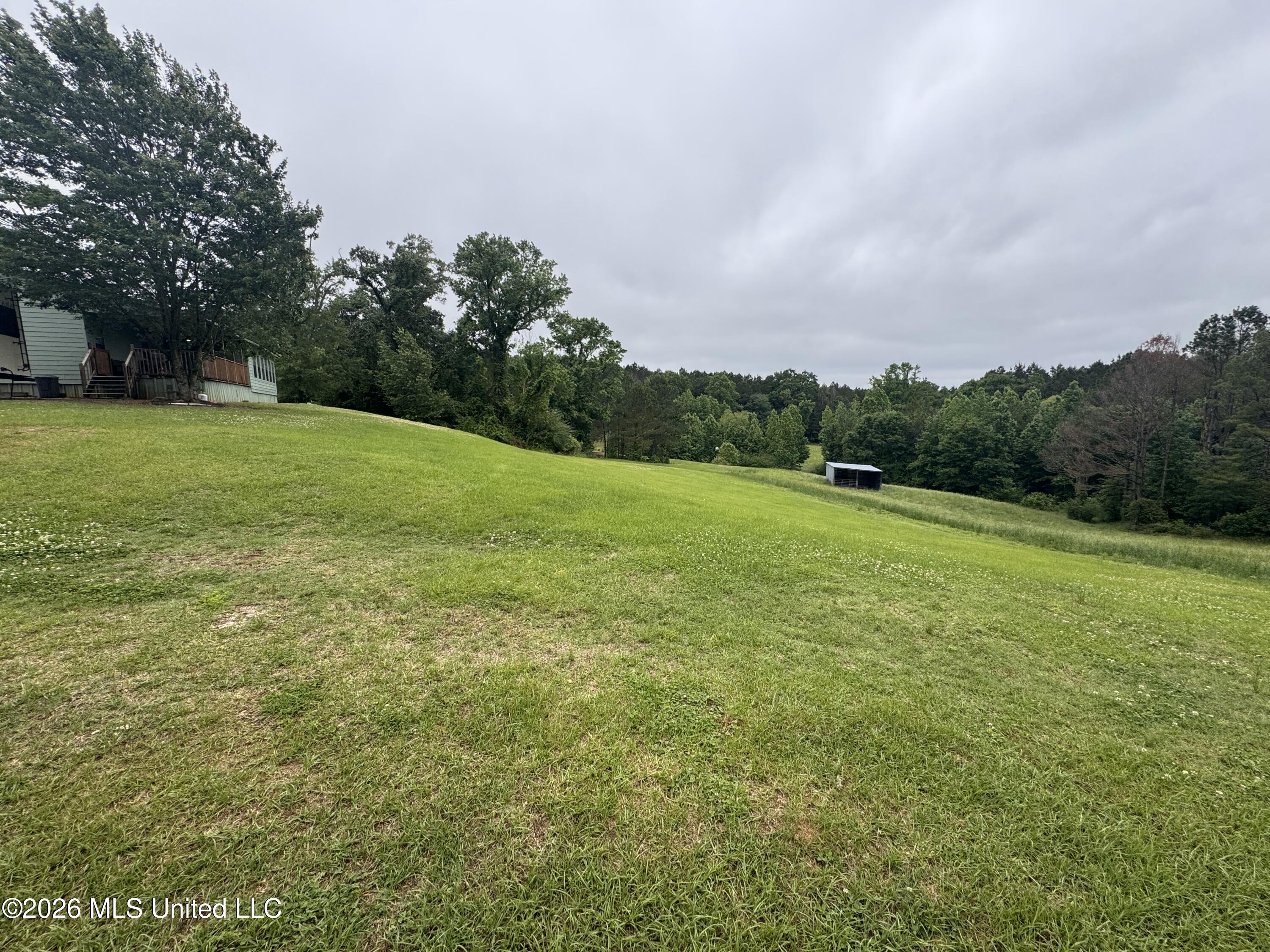 956 Franklin Road Morton, MS 39117 - Photo 24 of 48 IMG_3959