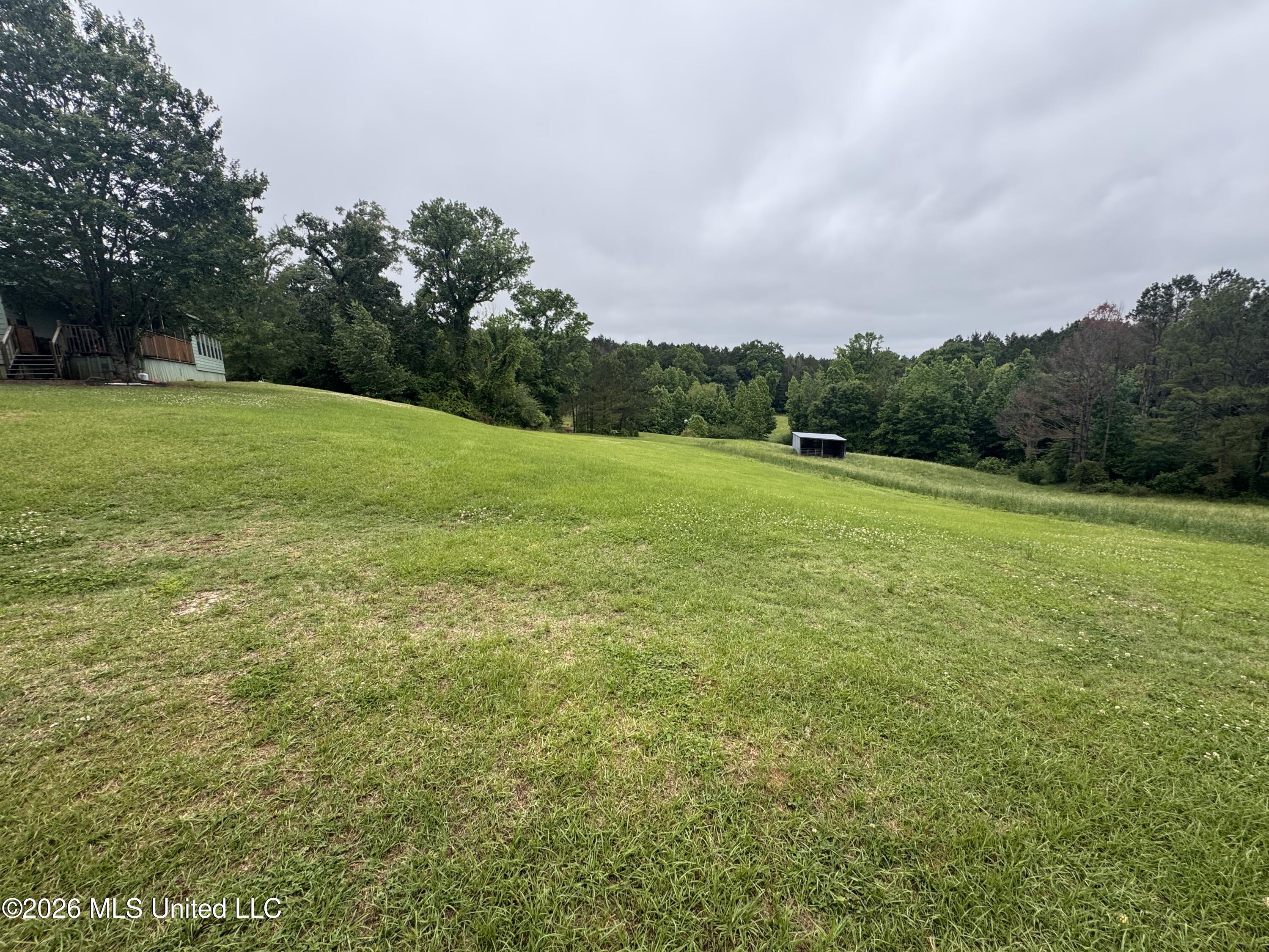 956 Franklin Road Morton, MS 39117 - Photo 25 of 48 IMG_3958