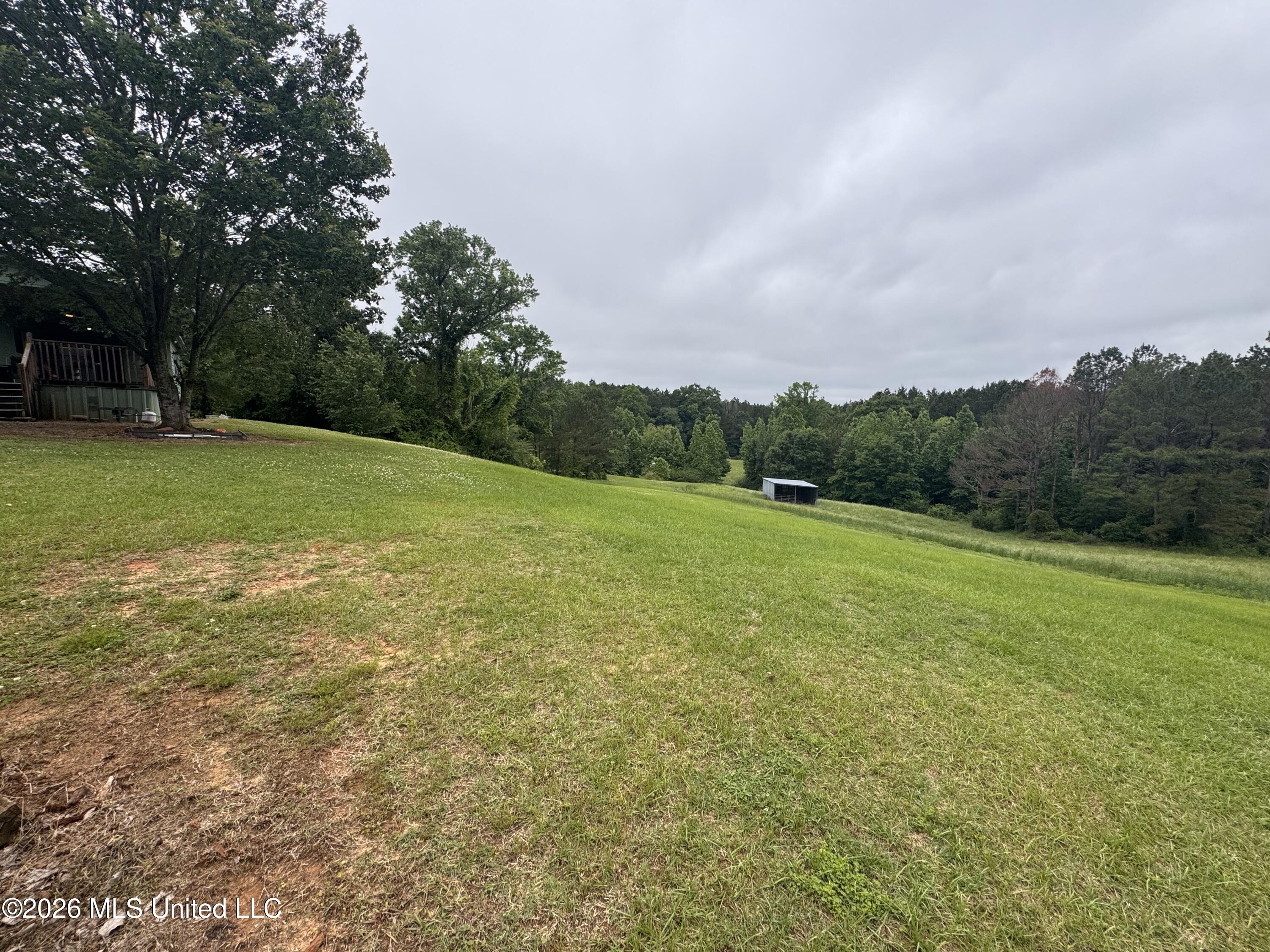 956 Franklin Road Morton, MS 39117 - Photo 26 of 48 IMG_3957