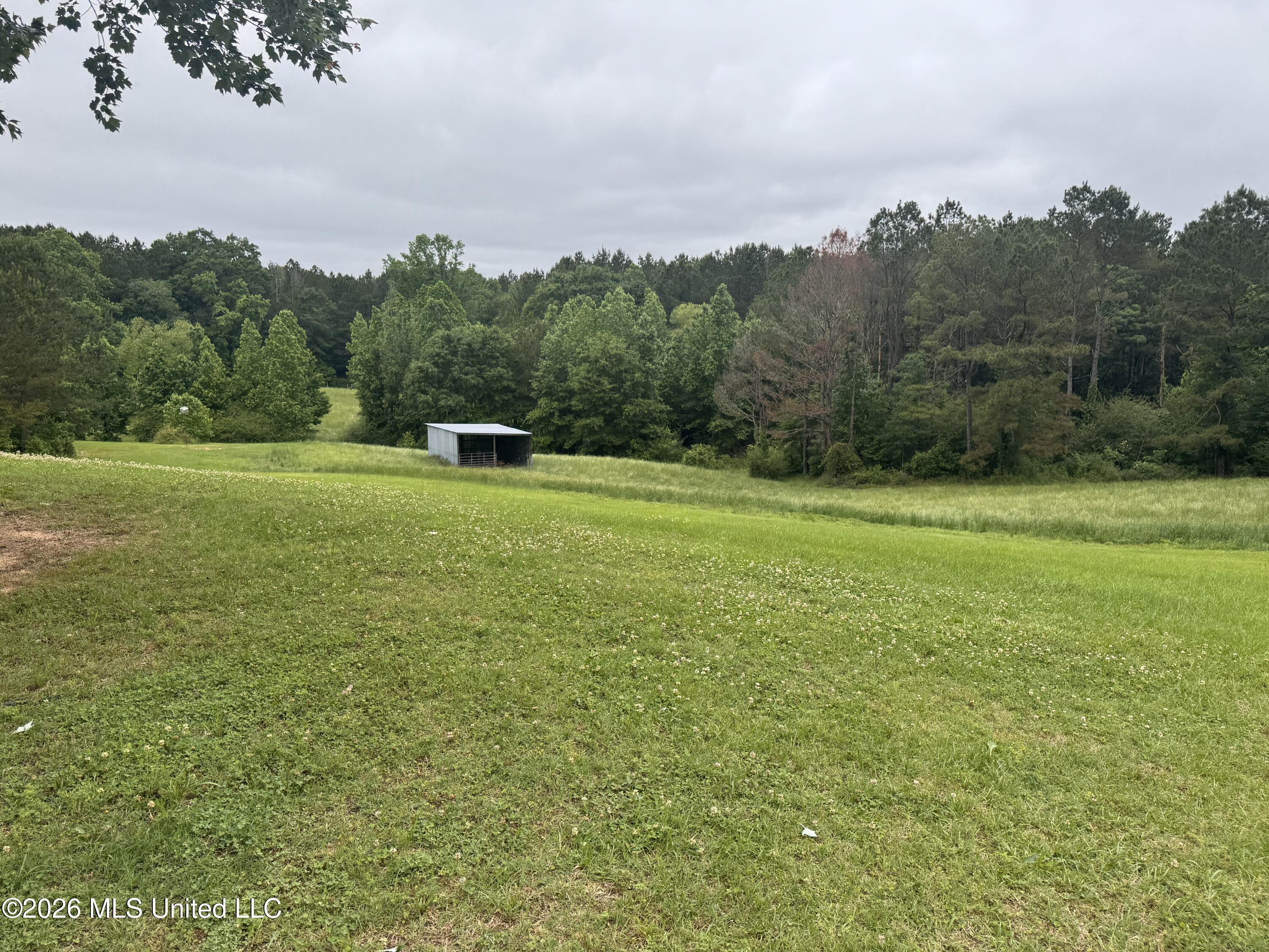956 Franklin Road Morton, MS 39117 - Photo 27 of 48 IMG_3956